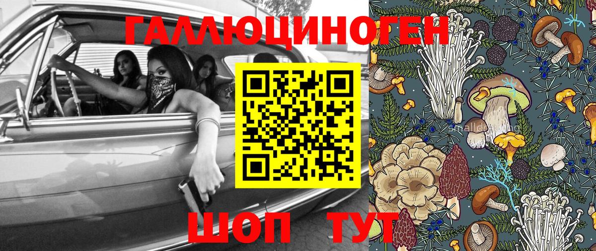 Петропавловск-Камчатский  Псилоцибиновые грибы Psilocybine cubensis  Вход с VPN 